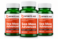 Infinite Age Sea Moss Advanced – 3 Pack, 60 Vegetable Capsules Each, Sea Moss + Bladderwrack + Burdock Root
